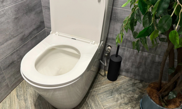 Почему нужно солить воду в унитазе?